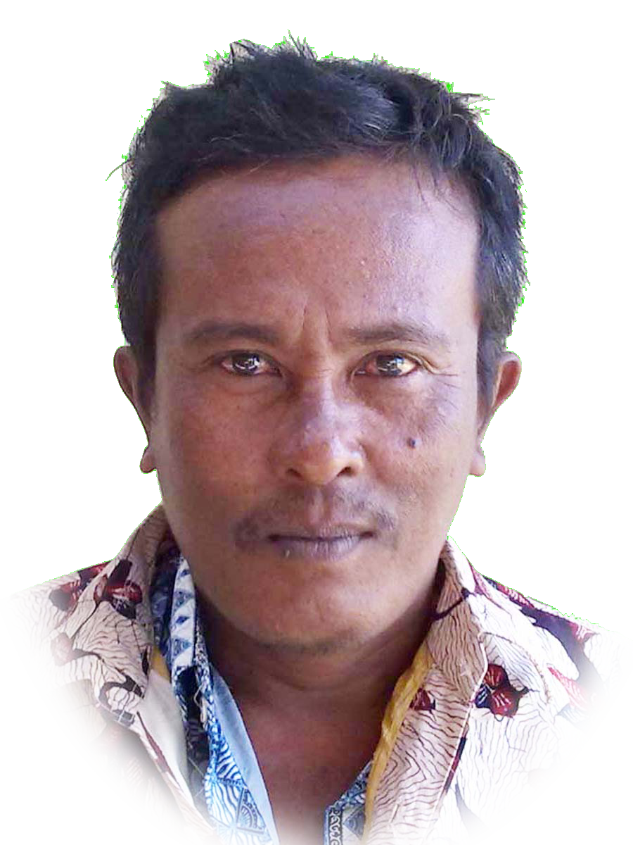 ALI WAFA